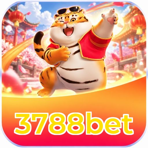 3788bet APP vs Web - Comparação de recursos